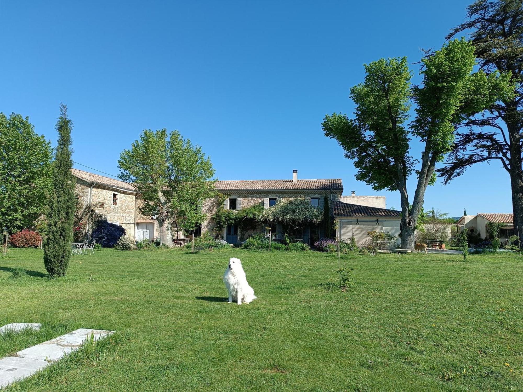La Boheme Bed & Breakfast Charols Exterior foto